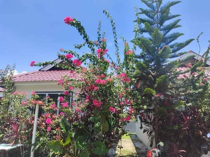 Langkawi Homestay Bunga Padi Kuah Buitenkant foto
